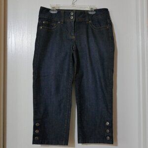 Ann Taylor Jeans Modern Fit Lindsay Waist Denim Blue Size 4 Capri Style